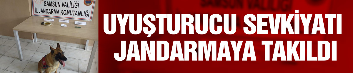 Samsun'a uyuşturucu sevkiyatı jandarmaya takıldı