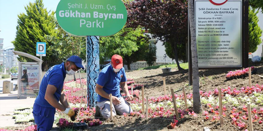 Atakum'un parklarına 30 bin çiçek
