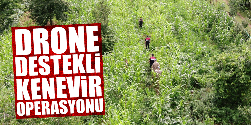 Drone destekli kenevir operasyonu