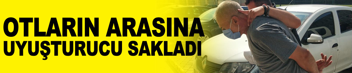 Otların arasına sakladığı uyuşturucu ele geçinde gözaltına alındı