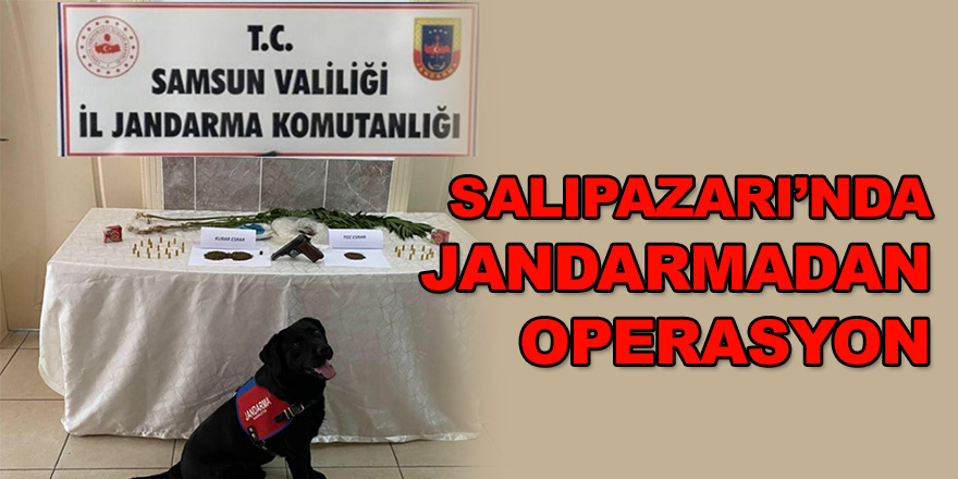 Jandarmadan operasyon 