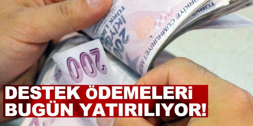 Destek ödemeleri bugün yatırılıyor!