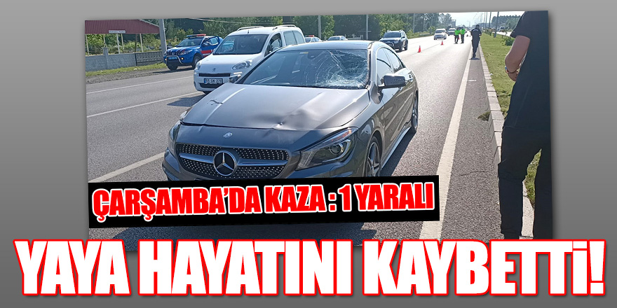  Otomobilin çarptığı yaya hayatını kaybetti  