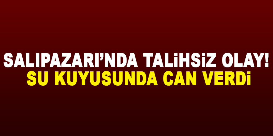 SALIPAZARI’NDA TALİHSİZ OLAY! SU KUYUSUNDA CAN VERDİ