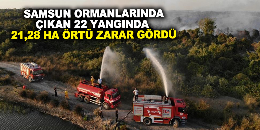 Samsun ormanlarında çıkan 22 yangında 21,28 ha örtü zarar gördü