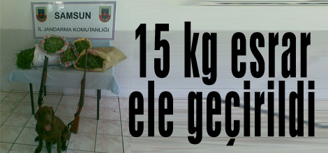 15 kg esrar ele geçirildi