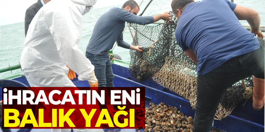 Samsun’da en çok hayvansal ürün ihracatı balık yağı ile gerçekleşti