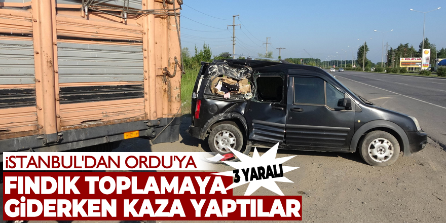 İstanbul'dan Ordu'ya fındık toplaya giderken kaza yaptılar: 3 yaralı