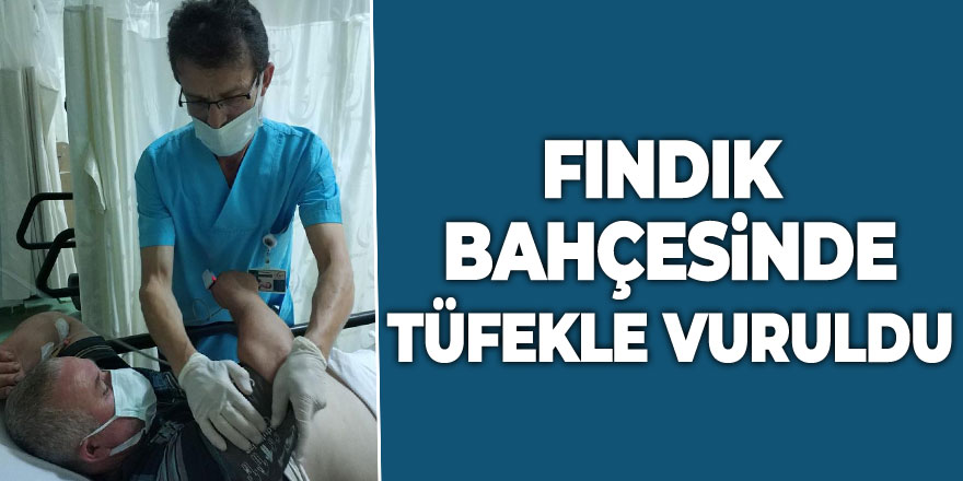 Fındık bahçesinde tüfekle vuruldu