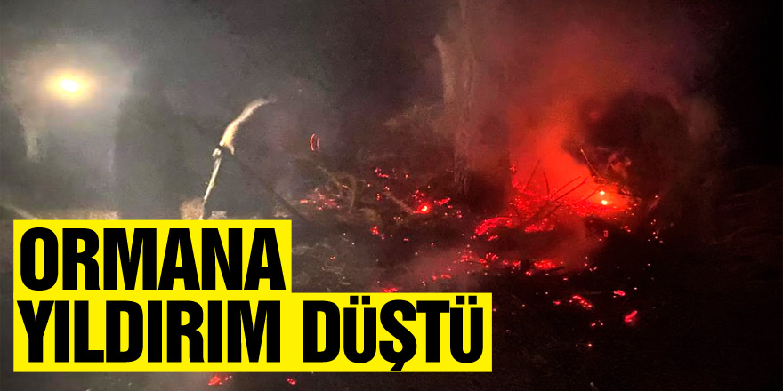 Ormana yıldırım düştü