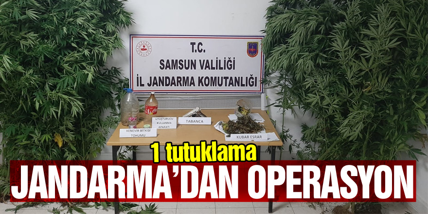 Jandarma’dan operasyon:1 tutuklama