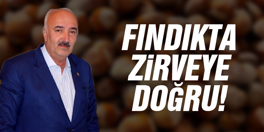 Fındıkta zirveye doğru!