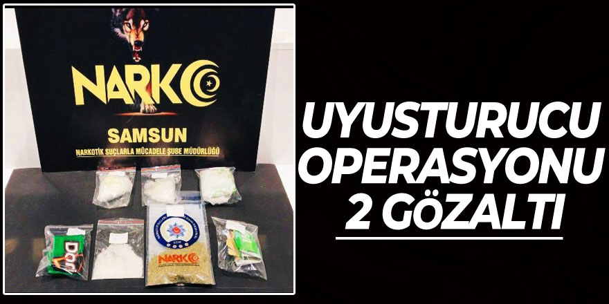 Samsun'dan uyuşturucu operasyonu: 2 gözaltı