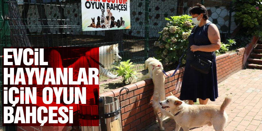 Evcil hayvanlar için “Can Dostum” oyun bahçesi