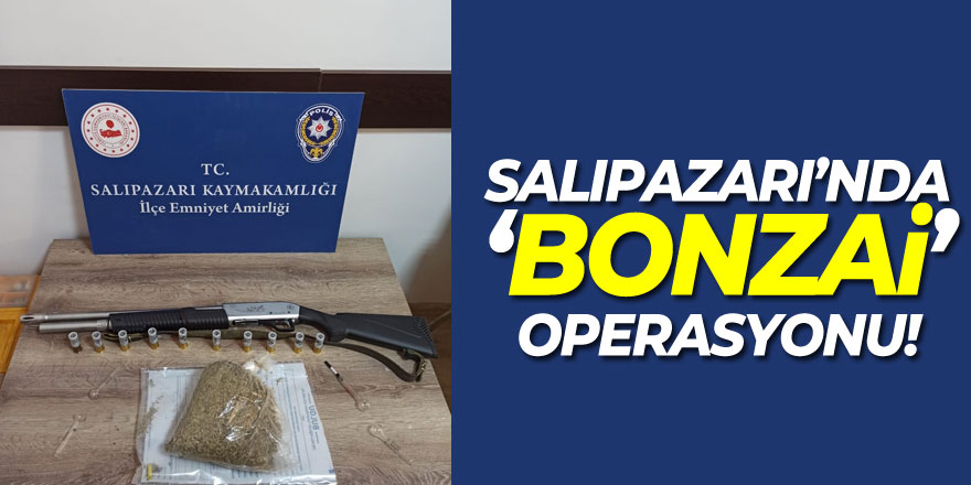 Salıpazarı’nda ‘bonzai’ operasyonu!