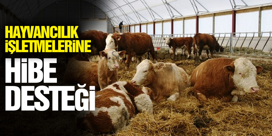 Samsun'da hayvancılık işletmelerine 1,7 milyon TL hibe desteği