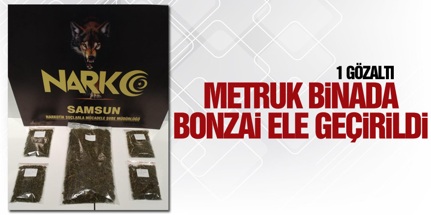 Samsun'da metruk binada 5 paket bonzai ele geçirildi: 1 gözaltı