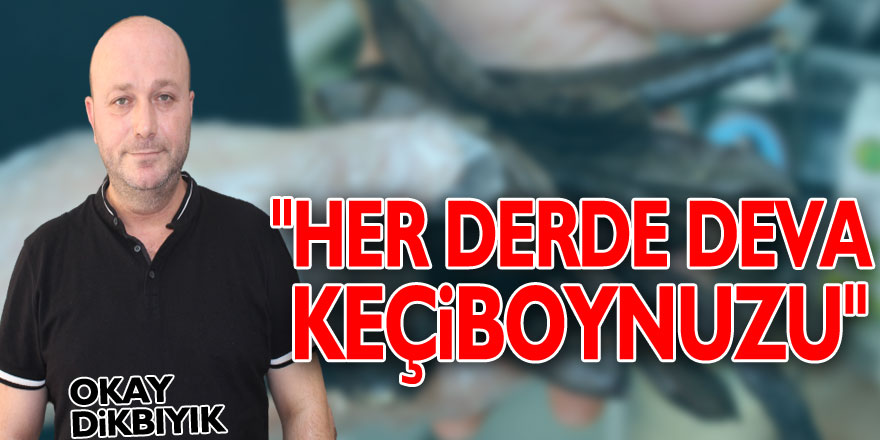 "HER DERDE DEVA: KEÇİBOYNUZU"