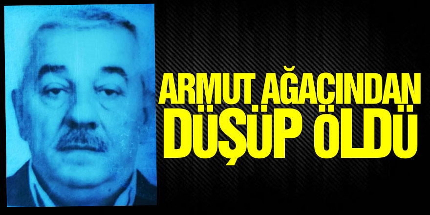 Armut ağacından düşüp öldü