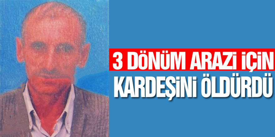 3 dönüm arazi için kardeşini öldürdü