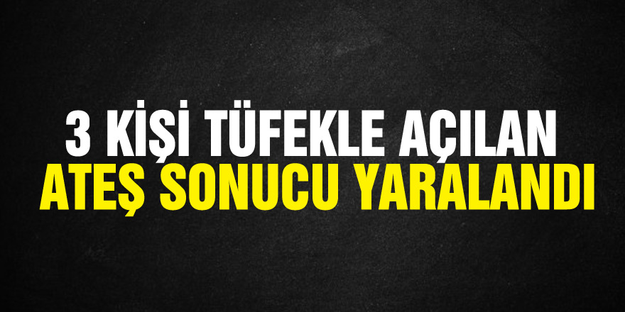 3 kişi tüfekle açılan ateş sonucu yaralandı