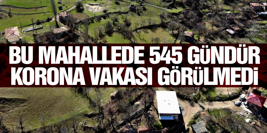 Bu mahallede 545 gündür korona vakası görülmedi