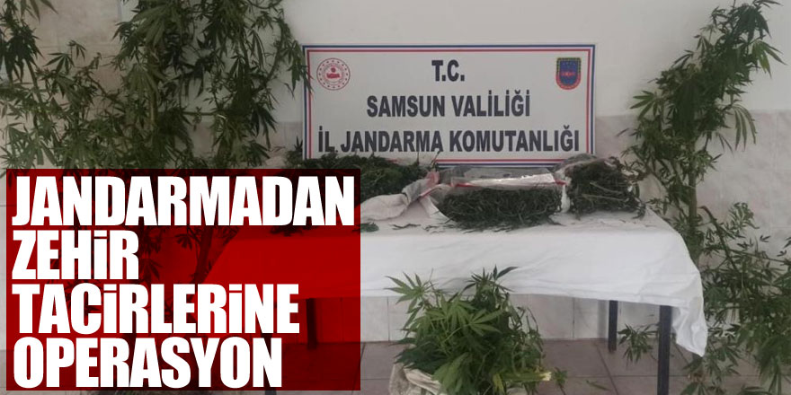 Jandarmadan zehir tacirlerine operasyon: 46 kilo esrar ele geçirildi