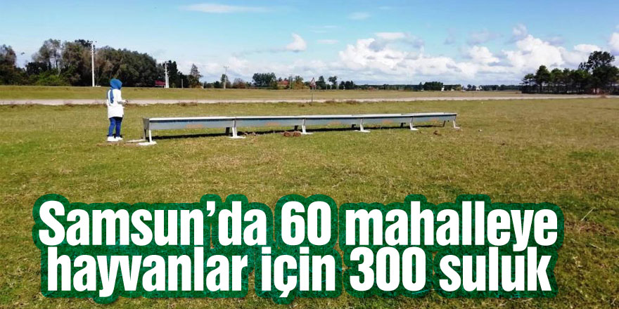 Samsun’da 60 mahalleye hayvanlar için 300 suluk