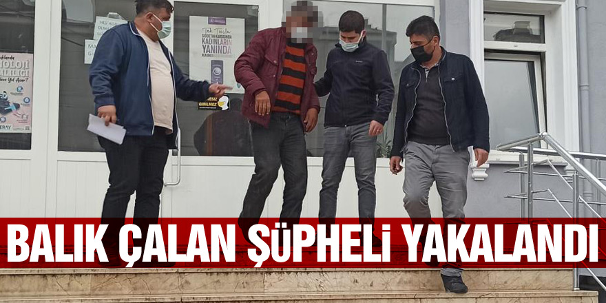 Balıkçıdan 35 kilo balık çalan şüpheli yakalandı