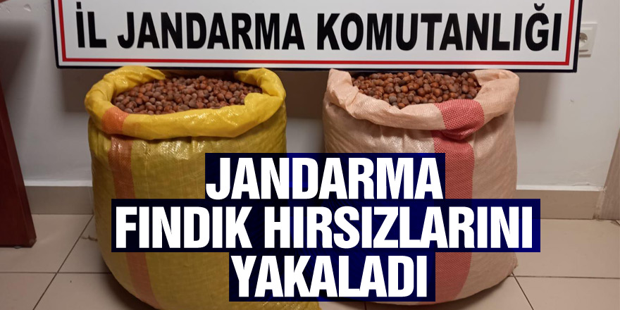 Jandarma fındık hırsızlarını yakaladı