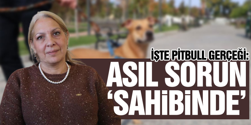 İşte pitbull gerçeği: Asıl sorun ‘sahibinde’