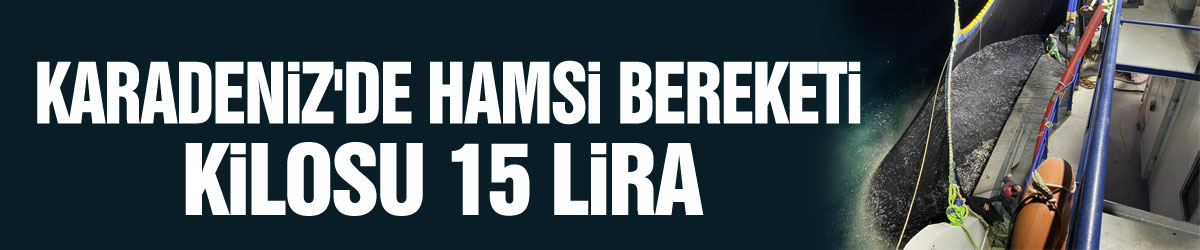 Karadeniz'de hamsi bereketi : Kilosu 15 lira