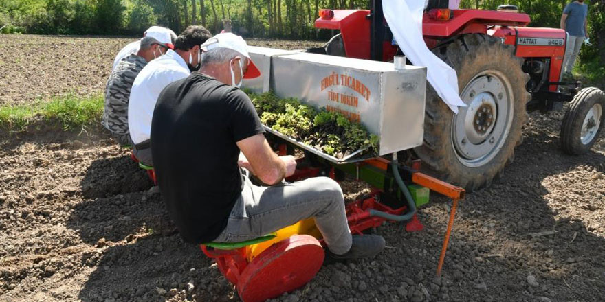 Samsun’da çiftçilere 74 ton yem bitkisi