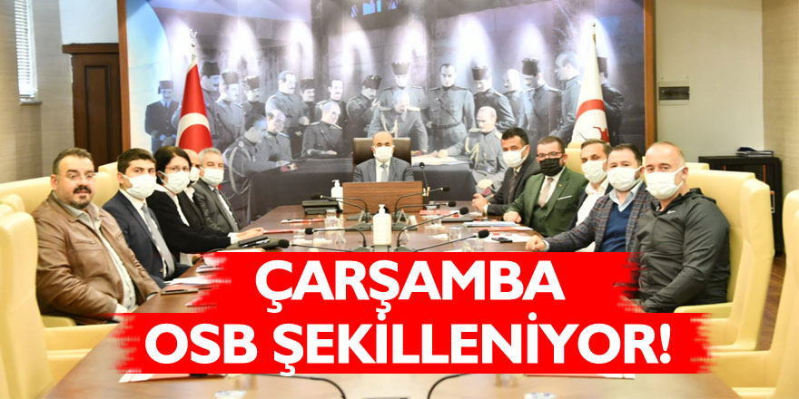 Çarşamba OSB şekilleniyor!