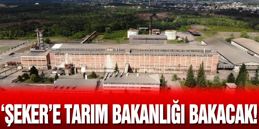 ‘Şeker’e Tarım Bakanlığı bakacak!