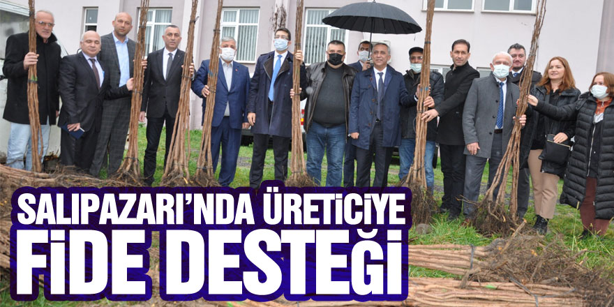 Salıpazarı’nda Üreticiye Fide Desteği