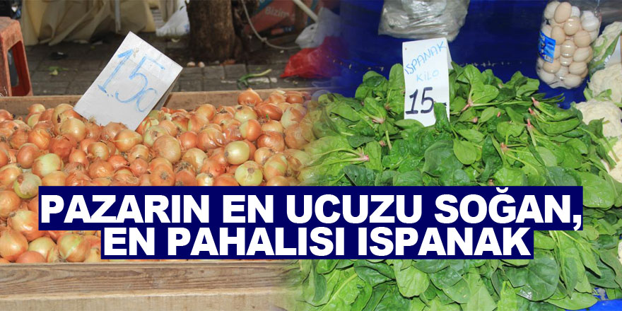 Samsun’da pazarın en ucuzu soğan, en pahalısı ıspanak