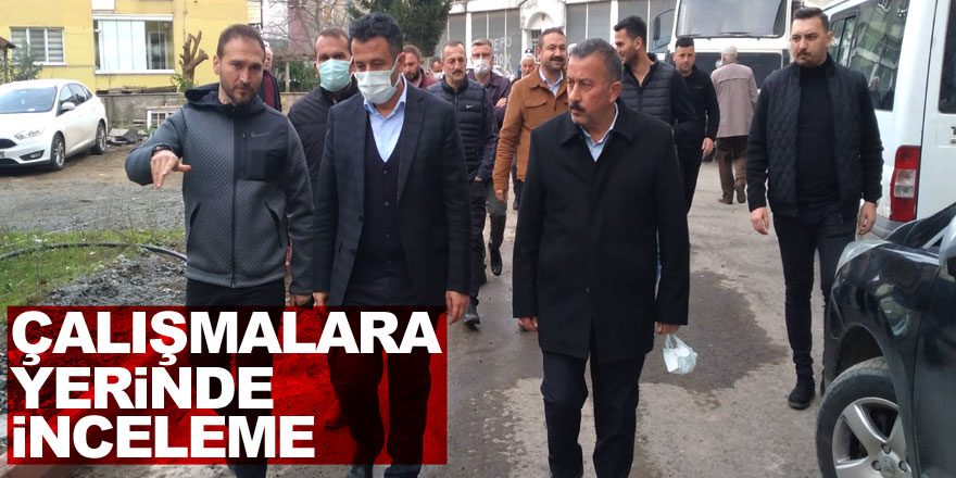 Çalışmalara yerinde inceleme