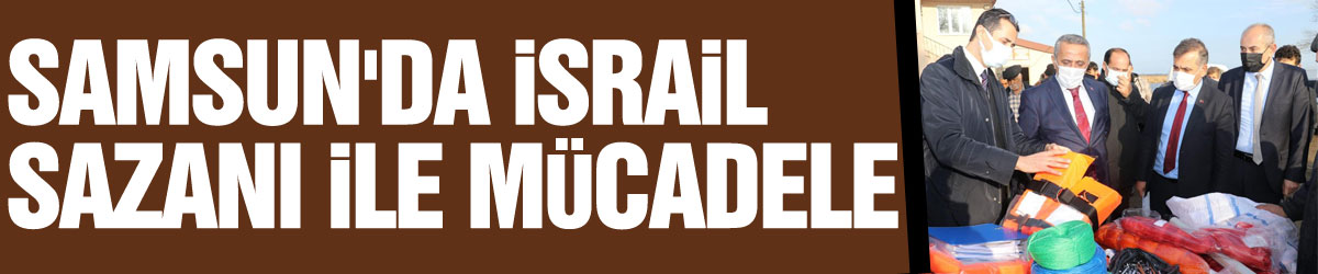 Samsun'da İsrail sazanı ile mücadele başladı