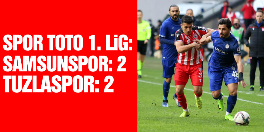 Spor Toto 1. Lig: Samsunspor: 2 - Tuzlaspor: 2