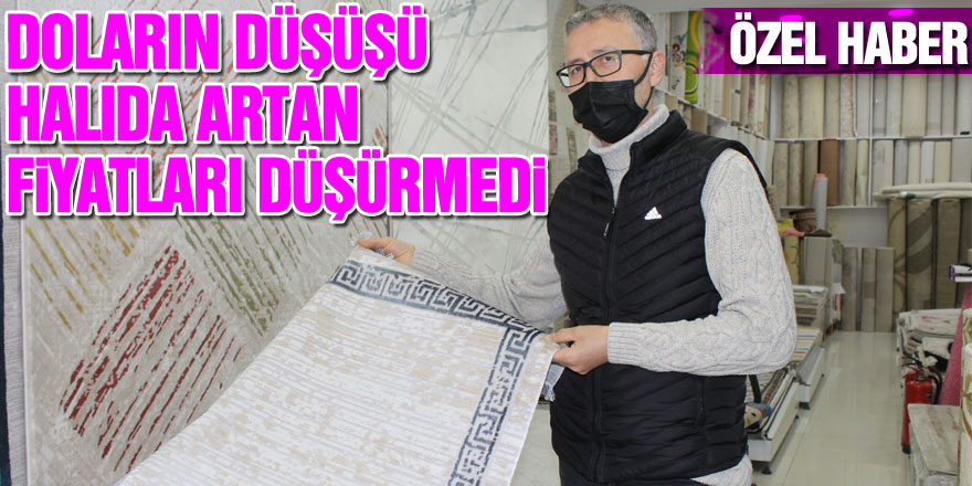 DOLARIN DÜŞÜŞÜ HALIDA ARTAN FİYATLARI DÜŞÜRMEDİ