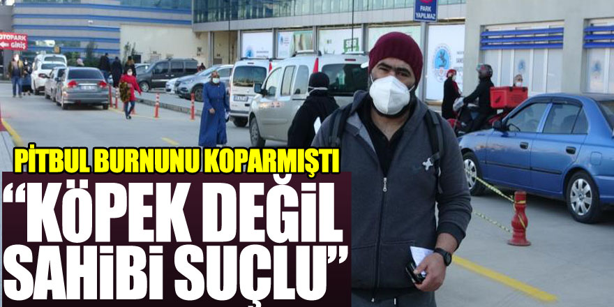 Pitbullun burnunu kopardığı vatandaş: “Köpek değil sahibi suçlu”