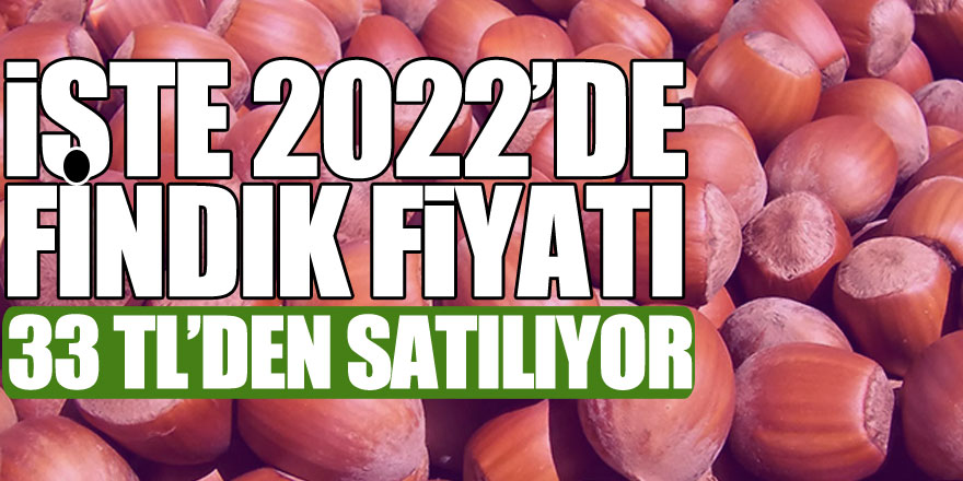 İşte 2022’de fındık fiyatı