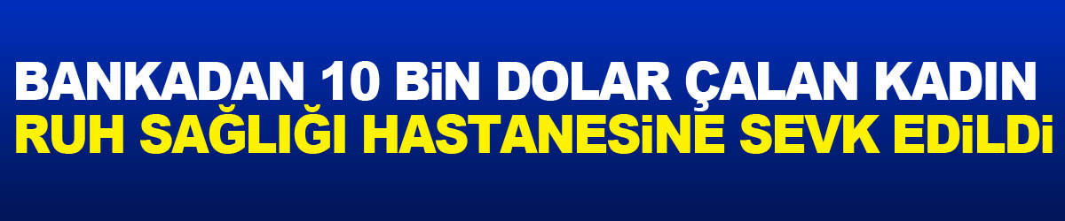 Bankadan 10 bin dolar çalan kadın ruh sağlığı hastanesine sevk edildi