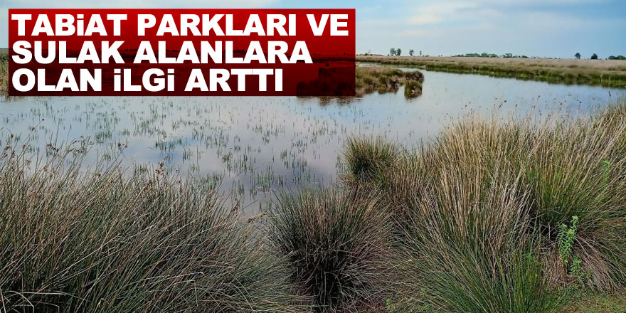 Tabiat parkları ve sulak olanlara olan ilgi arttı