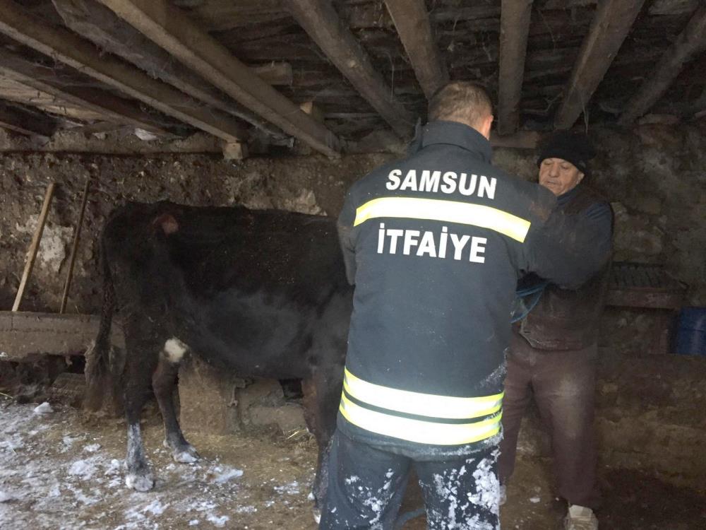 Çatısı çöken ahırda kalan hayvanları itfaiye kurtardı