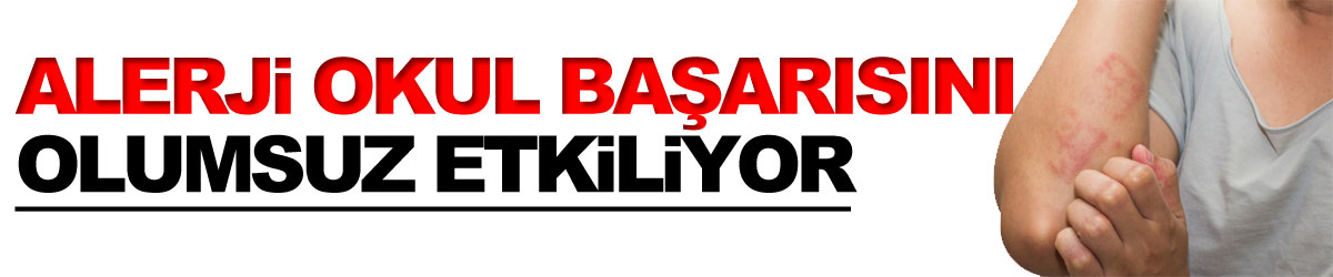 alerji okul başarısını olumsuz etkiliyor 