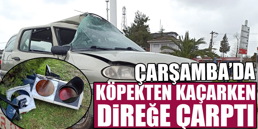 KÖPEKTEN KAÇARKEN DİREĞE ÇARPTI