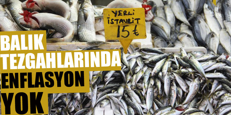 Balık tezgahlarında enflasyon yok: 3 balık çeşidi 15 lira