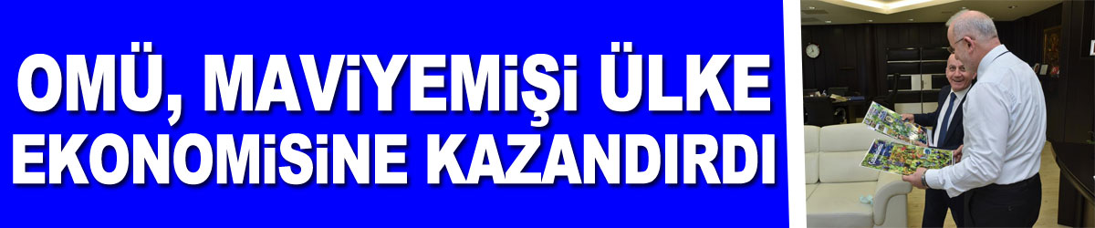 OMÜ, maviyemişi ülke ekonomisine kazandırdı